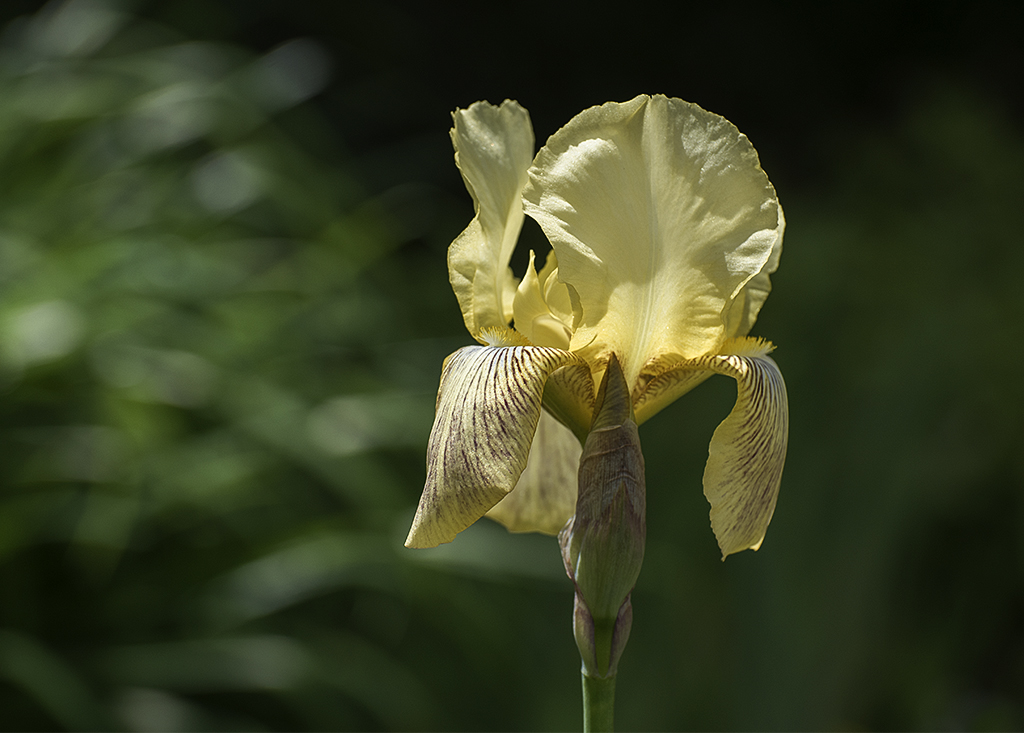 4711 Normandie 05 - 2016_KA79511-1 Kopie.jpg